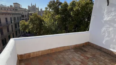 Apartment in Cort photo 30
