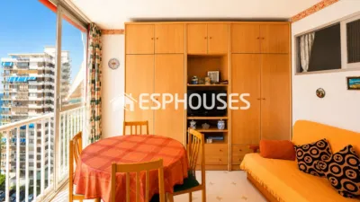 Apartment in Benidorm photo 5