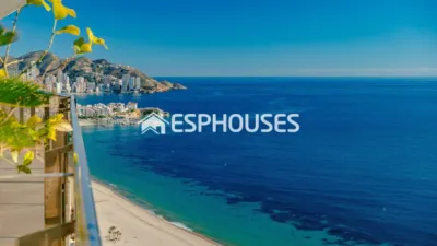 Luxury Apartment in Benidorm photo 47
