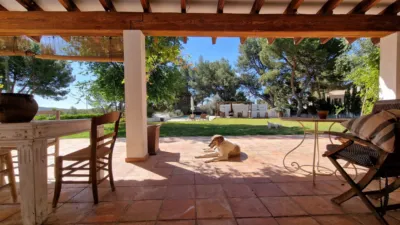 House in Tibi photo 26