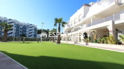 Apartment in Guardamar del Segura photo 33
