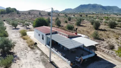 Rustic Finca in Sax photo 20