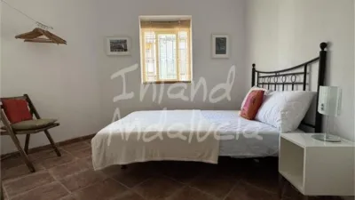 House in Luque photo 10