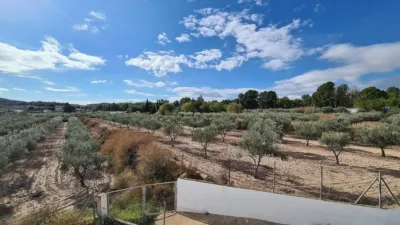 Rustic Finca in Sax photo 34