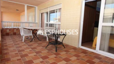 Apartment in Guardamar del Segura photo 4