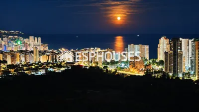 Apartment in Benidorm photo 22
