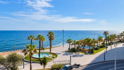 Pis – Torrevieja - Vista 3