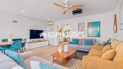 House in Centro photo 6