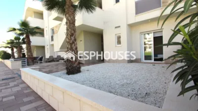 Apartment in Guardamar del Segura photo 22