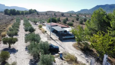 Rustic Finca in Sax photo 19