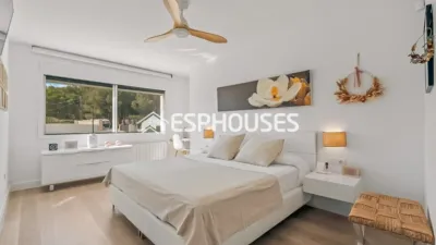 House in Centro photo 20