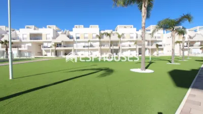 Apartment in Guardamar del Segura photo 30