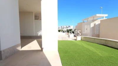 Apartment in Guardamar del Segura photo 26
