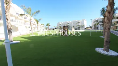 Apartment in Guardamar del Segura photo 35