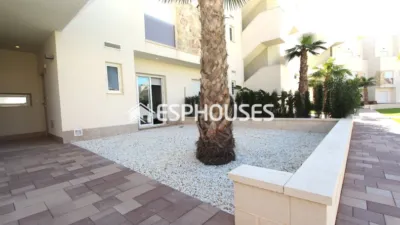 Apartment in Guardamar del Segura photo 23