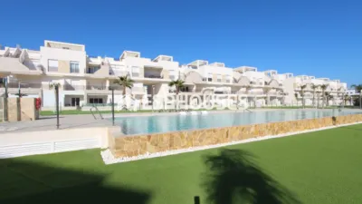 Apartment in Guardamar del Segura photo 31