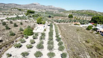 Rustic Finca in Sax photo 21