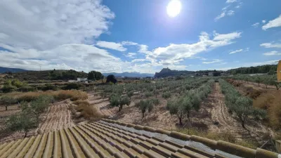Rustic Finca in Sax photo 32