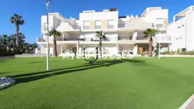 Apartment in Guardamar del Segura photo 34