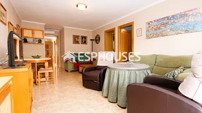 Apartment in Guardamar del Segura photo 7