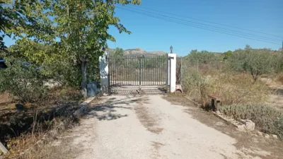 Rustic Finca in Sax photo 4