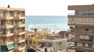 Apartamento en Guardamar del Segura photo 31