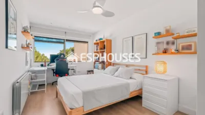 House in Centro photo 25
