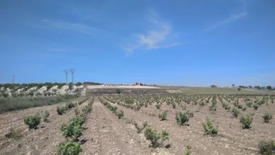 House in Cañada del Trigo photo 2