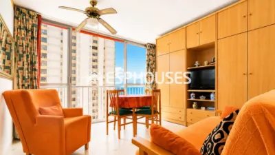 Apartment in Benidorm photo 3