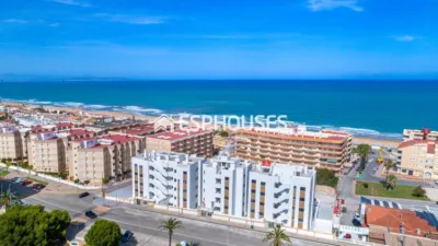 Apartamento en Guardamar del Segura photo 41