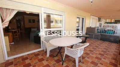 Apartment in Guardamar del Segura photo 3