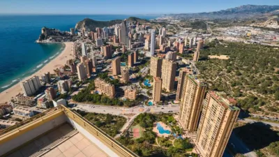 Apartment in Benidorm photo 6