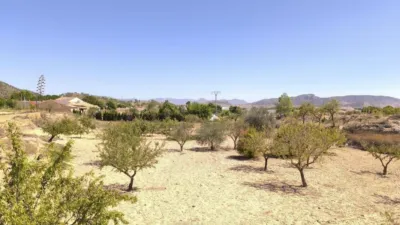 Finca rústica en Monòver - Monóvar photo 12