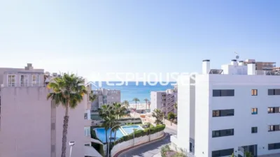 Pis – el Campello, Platja de Mutxavista - Vista 2