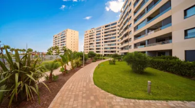 Pis – Torrevieja, San Roque - Vista 4