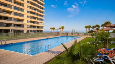 Pis – Torrevieja, San Roque - Vista 3