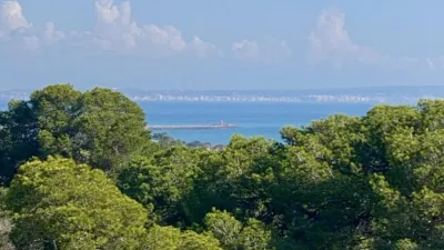 Pis – Guardamar del Segura - Vista 3