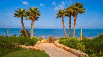 Pis – Torrevieja, San Roque - Vista 2