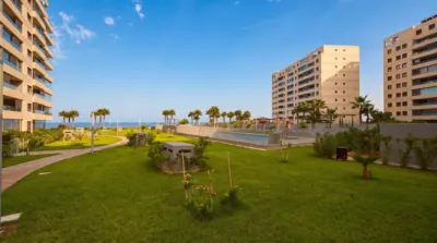Pis – Torrevieja, San Roque - Més