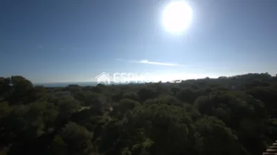 Pis - Vista 3