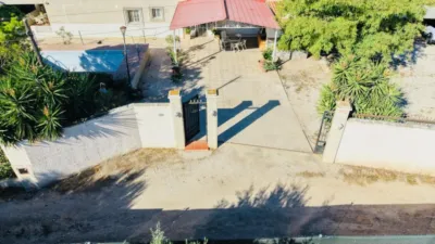 Casa – Crevillent, el Baix Vinalopó - Més