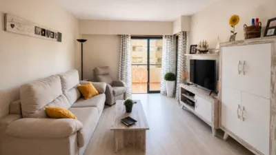 Pis – Elx - Elche - Vista 4
