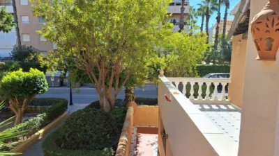 Pis – Torrevieja, La Rosaleda, Cabo Cervera-Playa la Mata - Vista 3