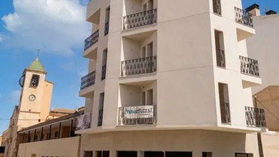 Pis - Vista 2