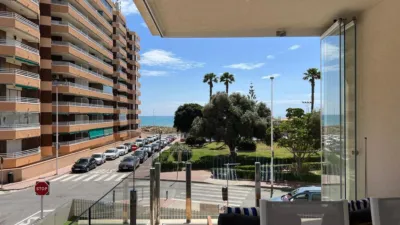 Pis – Torrevieja, Europa - Vista 3