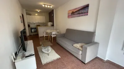 Pis – Torrevieja, El Palmeral - Més