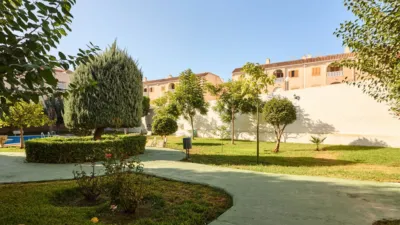 Pis – Torrevieja, San Roque - Vista 4