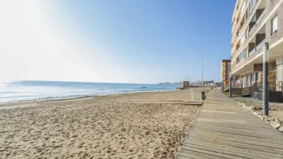 Pis – Torrevieja - Vista 5