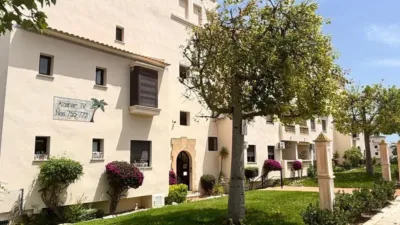 Pis – Orihuela - Vista 4