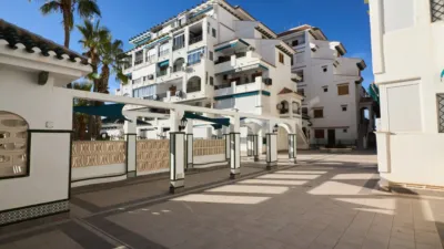 Pis – Torrevieja, La Mata - Vista 5